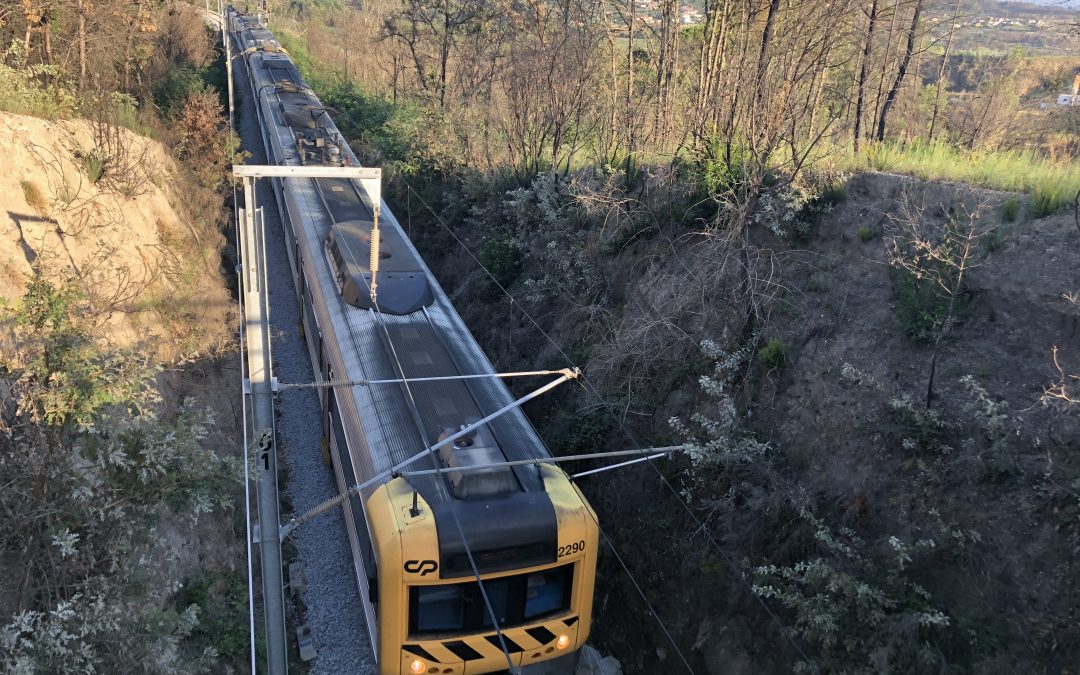 O simulacro na Estação de Caminhos de Ferro de Mangualde