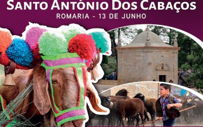 Festas dos Santos Populares em Mangualde, romagem feita de saudade ao St. António e ao S. João doutros tempos  mas, hoje, ainda mais vivas e lindas!