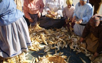 Agriculturas e ruralidades dos aldeões do concelho de  Mangualde dos anos 50 e 60… tal como eu as vivi… por José Luis Costa Sousa