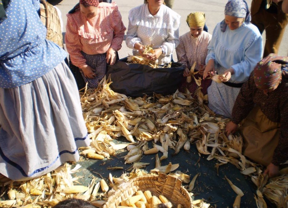 Agriculturas e ruralidades dos aldeões do concelho de  Mangualde dos anos 50 e 60… tal como eu as vivi… por José Luis Costa Sousa