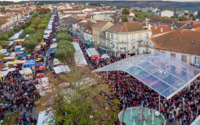 MANGUALDE VAI ELEGER OS SEUS NOVOS AUTARCAS A 26 DE SETEMBRO