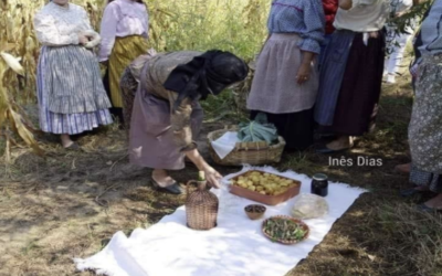 AS VIDAS ALDEÃS DAS CRIANÇAS DA BEIRA ALTA, ANOS 50 E 60, TAL COMO AS VIVI