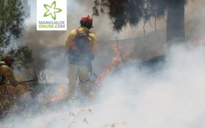 Polícia Judiciária – Detido incendiário florestal em Mangualde