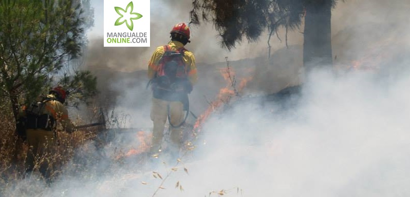 Grupo de Reforço para Incêndios Florestais (GRIF) Nº1 de Lisboa está em Mangualde