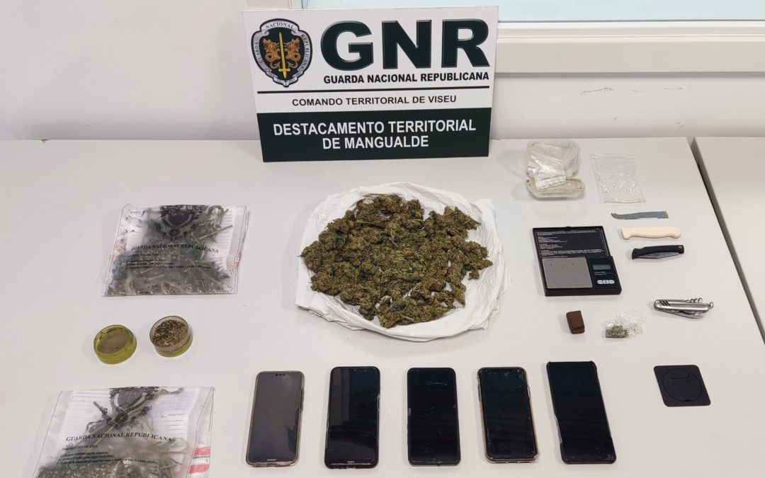 Detidos por tráfico de droga em Mangualde e Nelas