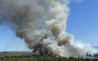 Incêndios: Portugal está em situação de alerta. Saiba o que pode ou não fazer