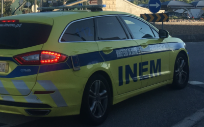 Homem morre, em Freixiosa, depois de picado por abelhas