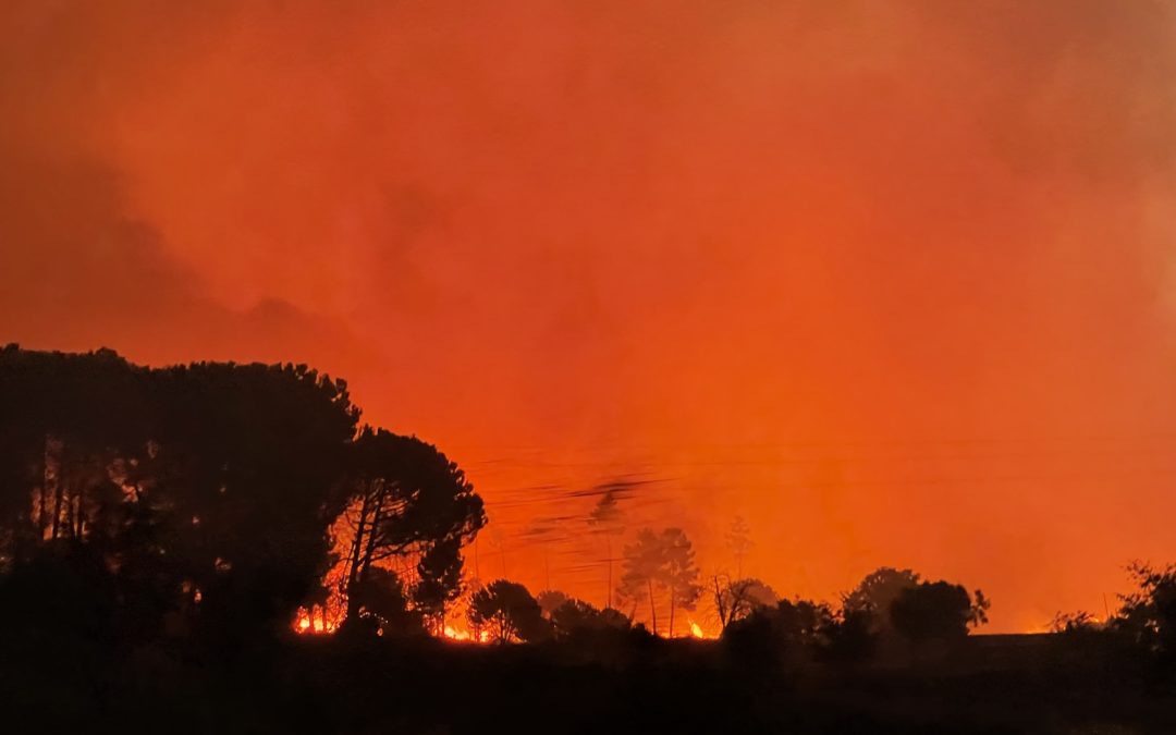 Mangualde – PJ detém suspeito de atear fogo com isqueiro