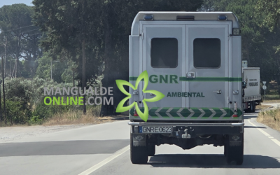 Mangualde: GNR identifica dono de 2 cães que tinham sinais de maus-tratos