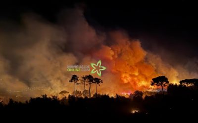 Incêndio florestal na Serra de Stº António, deflagra durante a madrugada