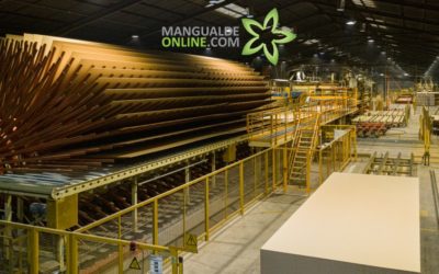 Sonae investe 8 milhões em Mangualde