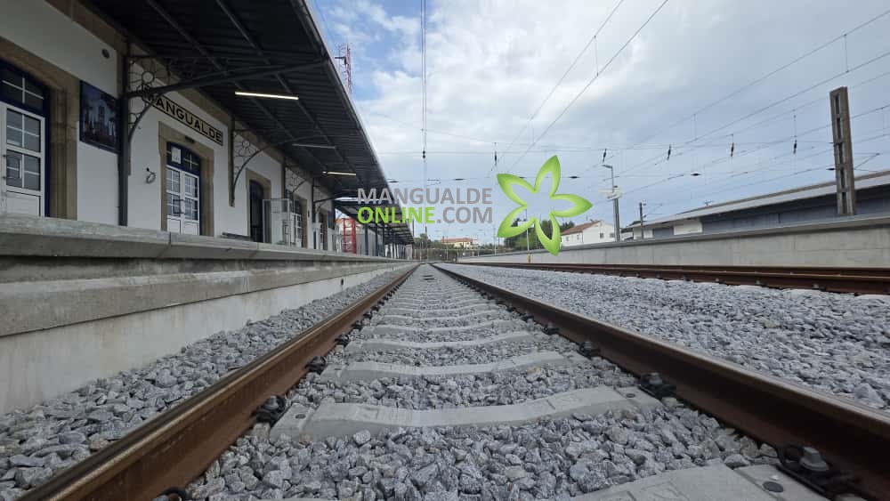 Linha da Beira Alta reabre totalmente este domingo