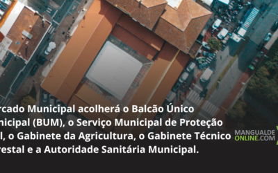 Mercado Municipal ganha nova vida com requalificação de 600 mil €