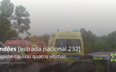 Fundões: Despiste causou quatro vítimas