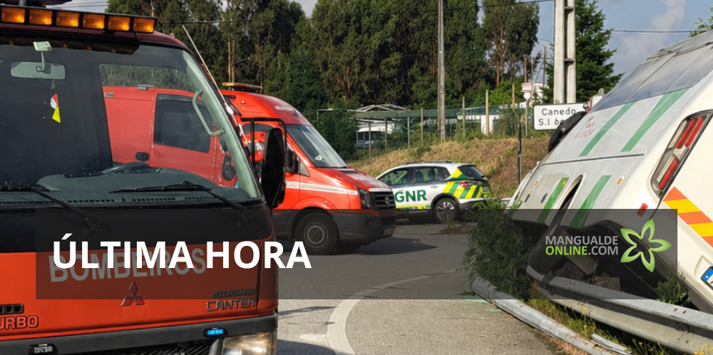 Despiste de autocarro em Mangualde