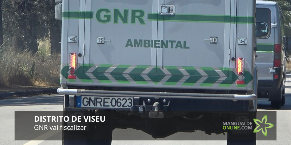 Mangualde sob vigilância: GNR fiscaliza limpeza de terrenos no concelho