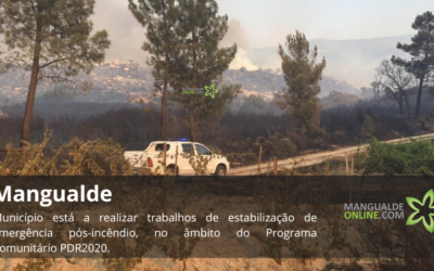 Mangualde com trabalhos de estabilização pós-incêndio