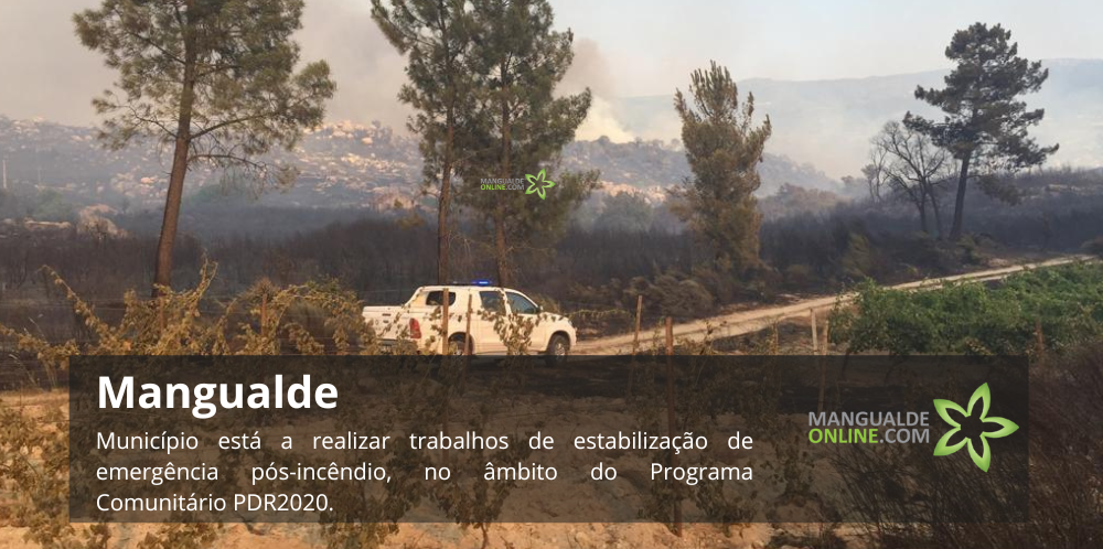 Mangualde com trabalhos de estabilização pós-incêndio
